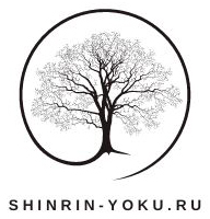 Терапевтические прогулки синрин-йоку с гидом